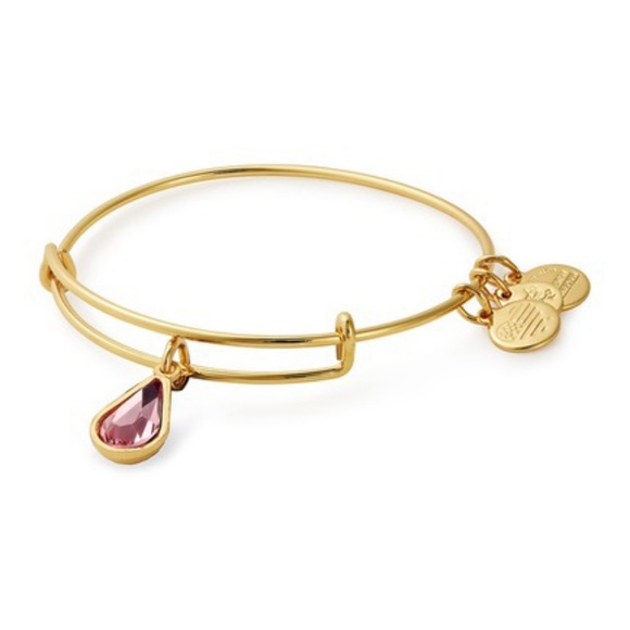 Alex and Ani Jewelry - NEW Alex and Ani Birthstone Adjustable Wire Bangle
